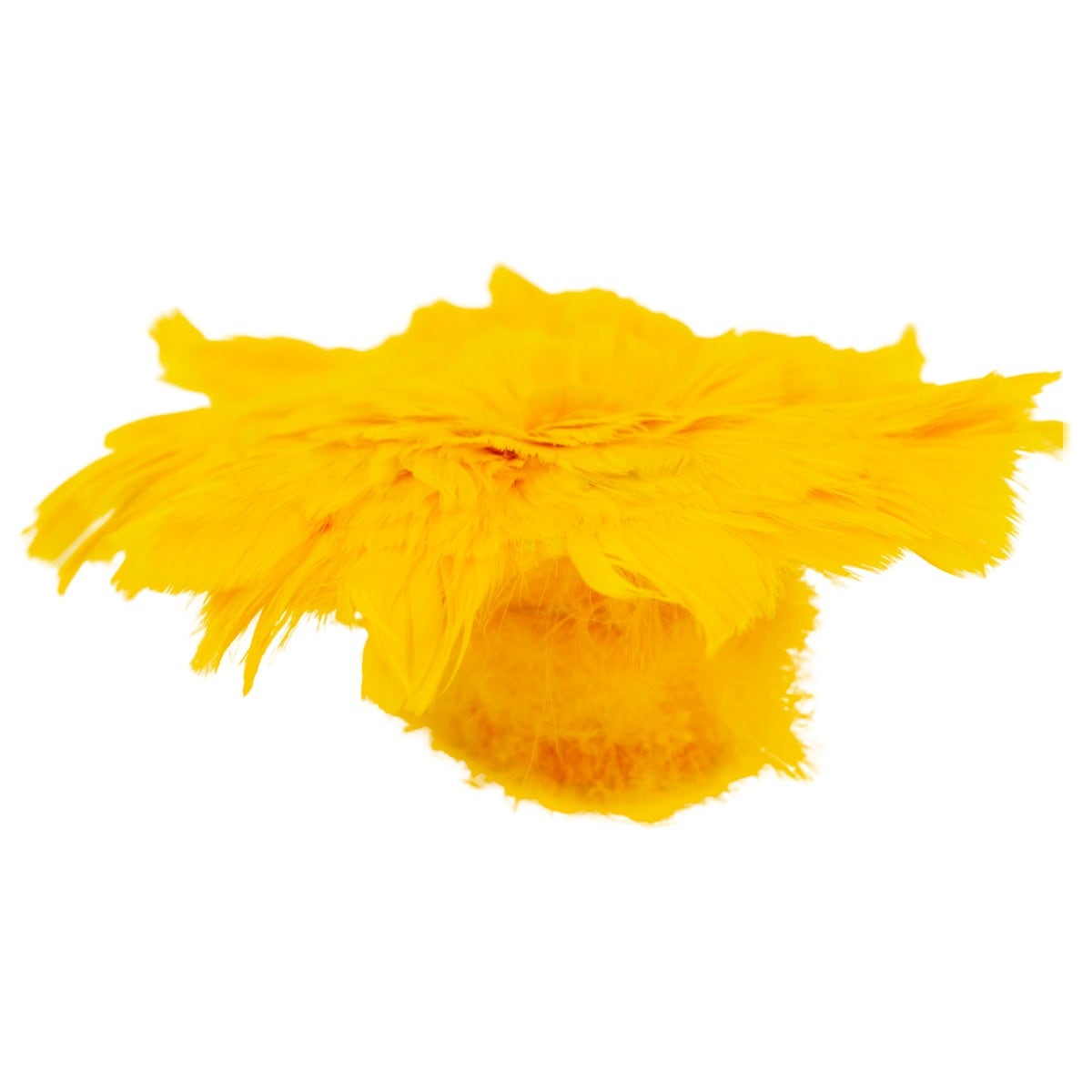 Strung Goose Coquille Feathers 3-4" -- 1/4 lb-Gold