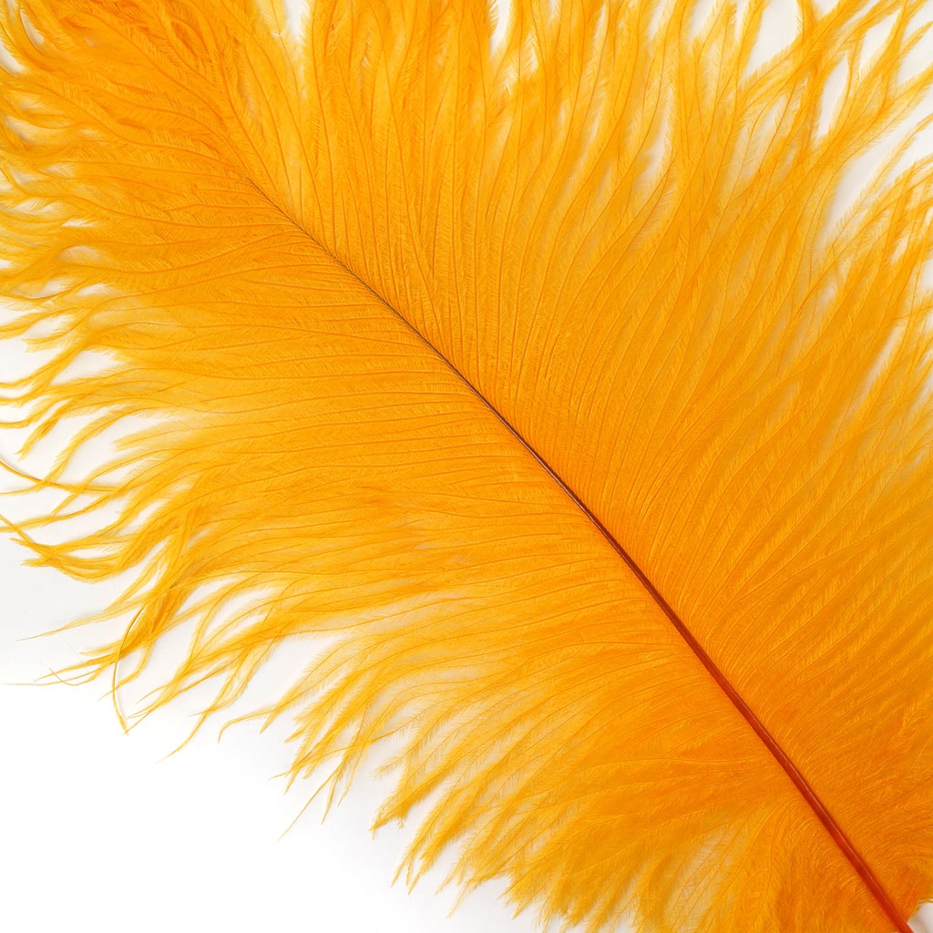 Ostrich Flexible Feathers 9-12 (Gold) for Sale Online