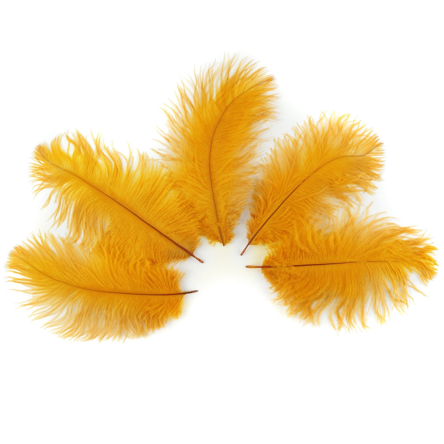 Ostrich Feathers 4-8" Drabs - Marigold