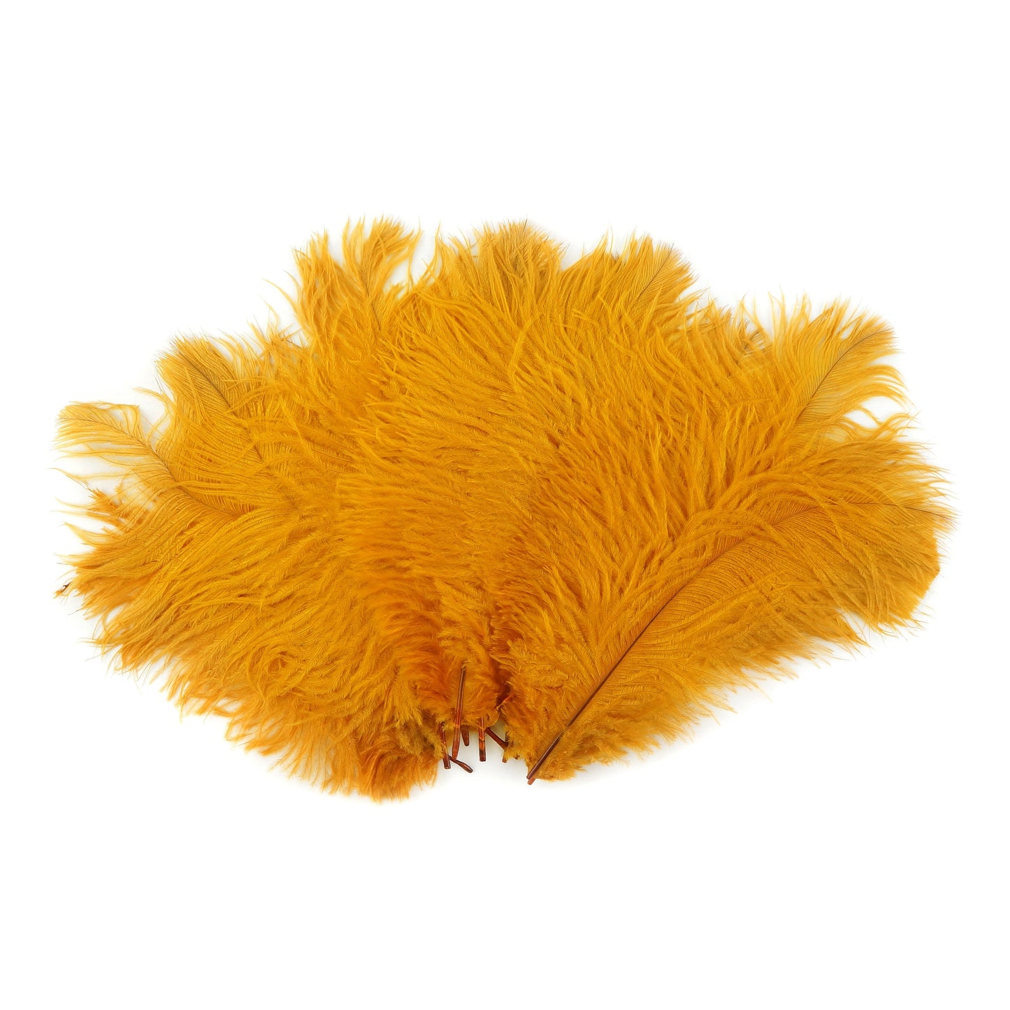 Ostrich Feathers 4-8" Drabs - Marigold