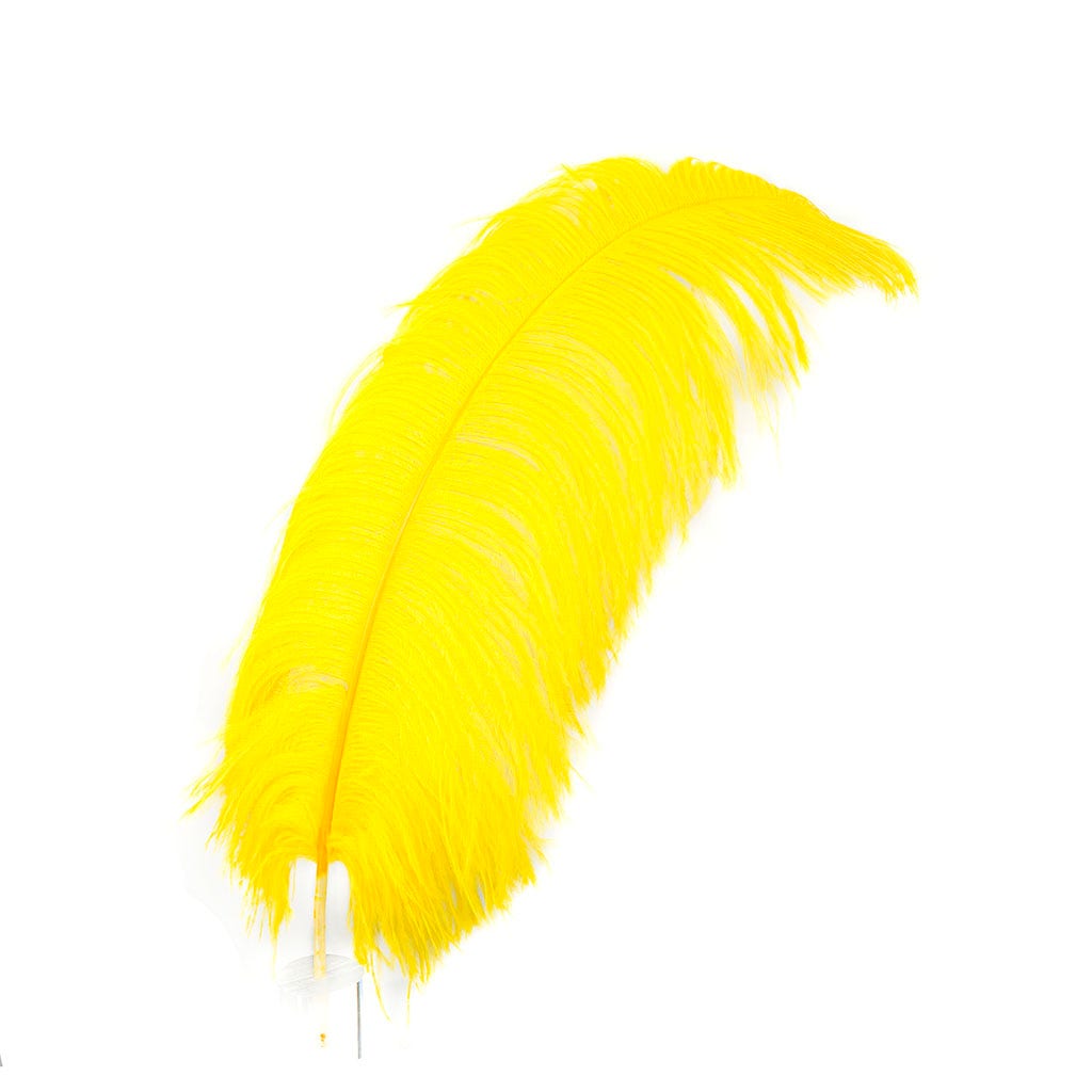 Large Ostrich Feathers - 24-30" Prime Femina Plumes - Gold