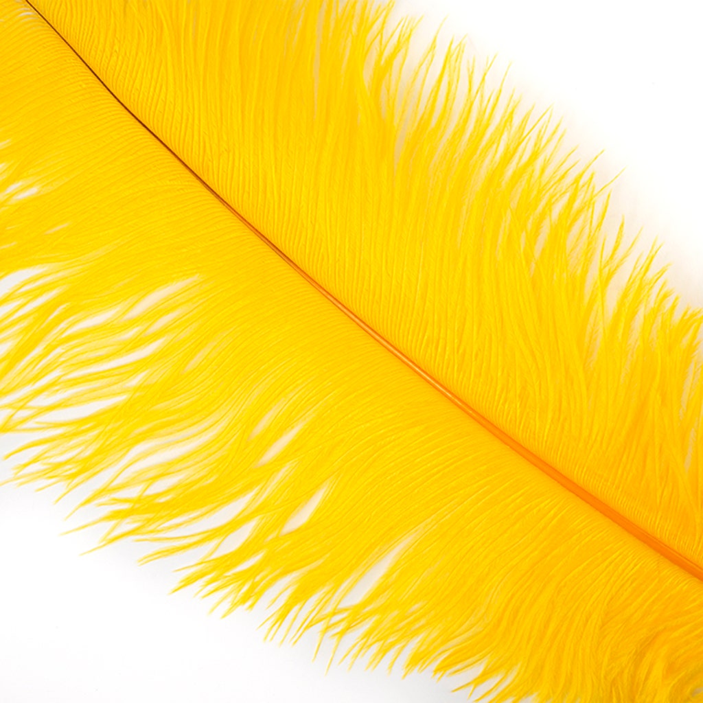 Large Ostrich Feathers - 18-24" Spads - Gold