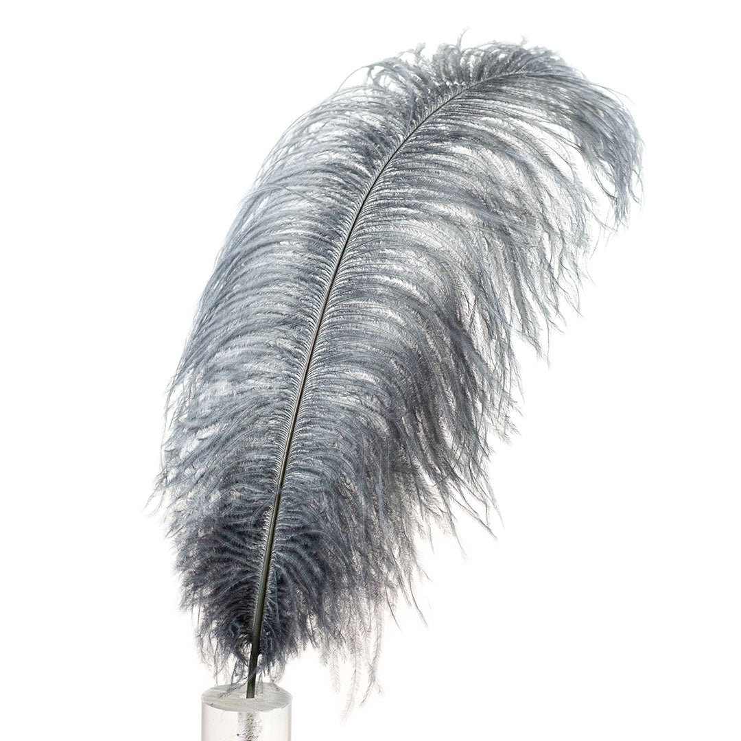 Large Ostrich Feathers - 17"+ Drabs - Gun Metal Grey