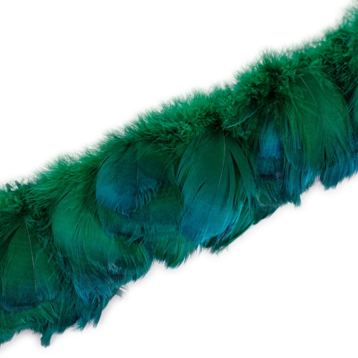 Strung Goose Coquille Feathers 3-4" -- 1/4 lb-Hunter Green