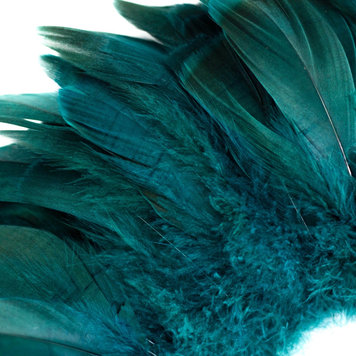 Goose Nagorie Dyed Feathers -Teal