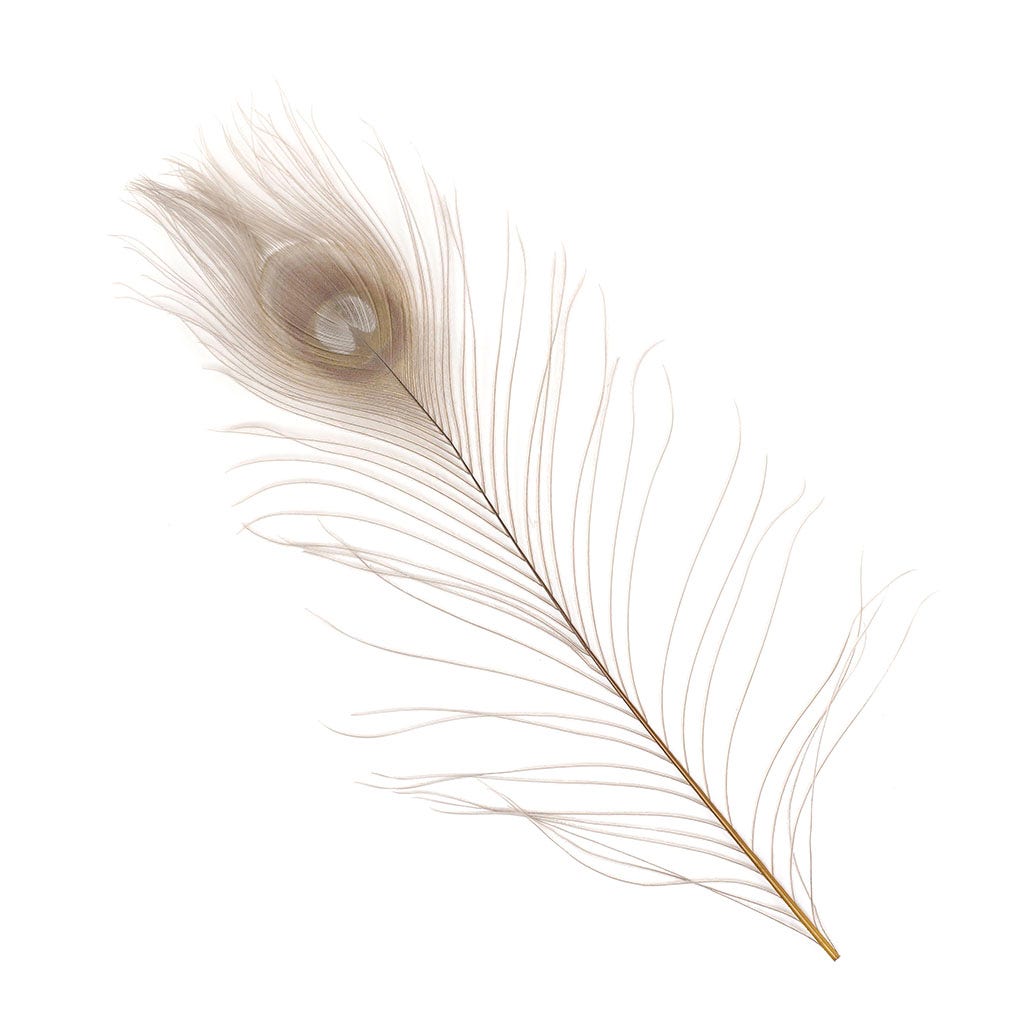 Peacock Feather Eyes Bleached & Dyed Iris
