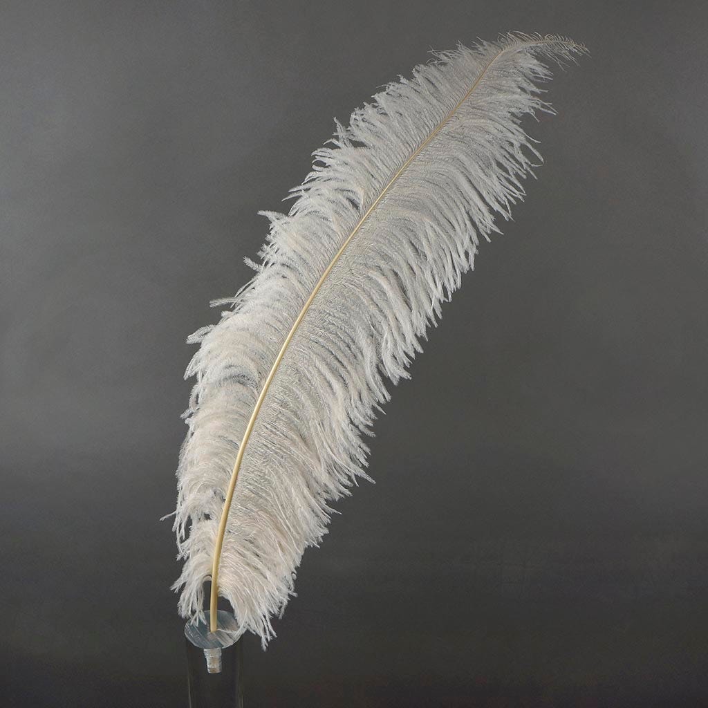 Large Ostrich Feathers - 18-24" Spads - Ivory