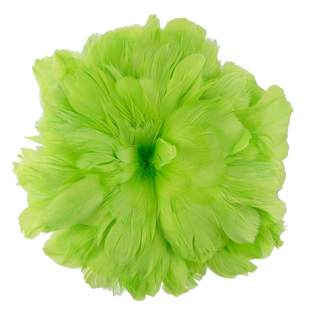 Goose Coquille Feathers Dyed Lime