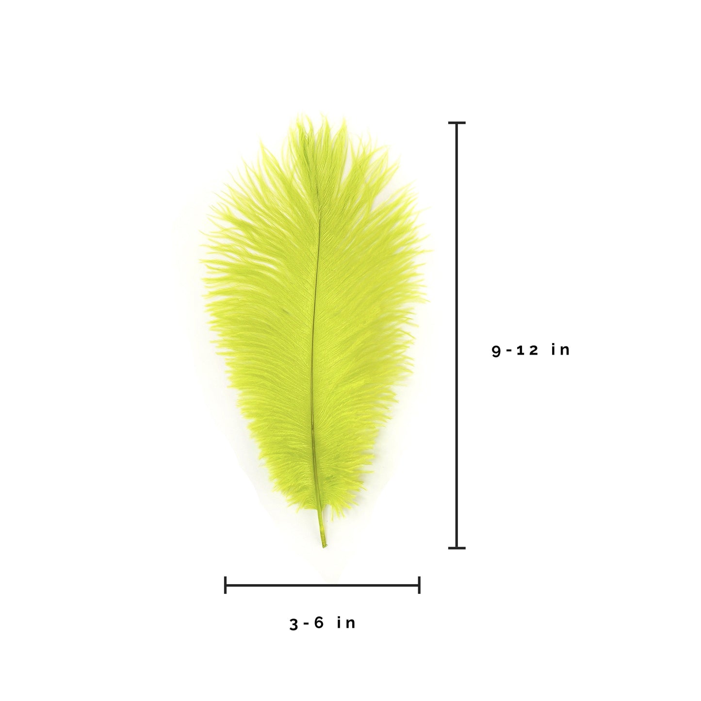 Ostrich Feathers 9-12" Drabs - Lime