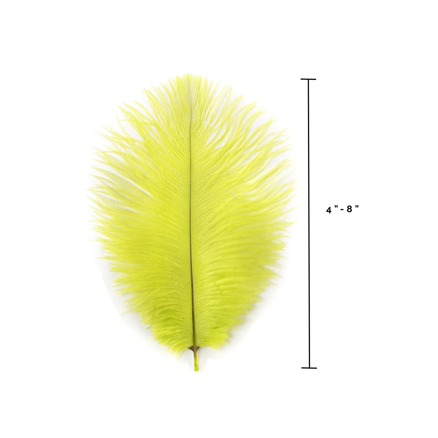 Ostrich Feathers 4-8" Drabs - Lime