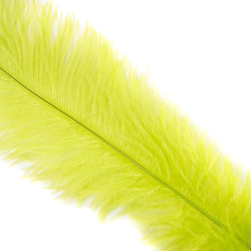 Large Ostrich Feathers - 18-24" Spads - Lime