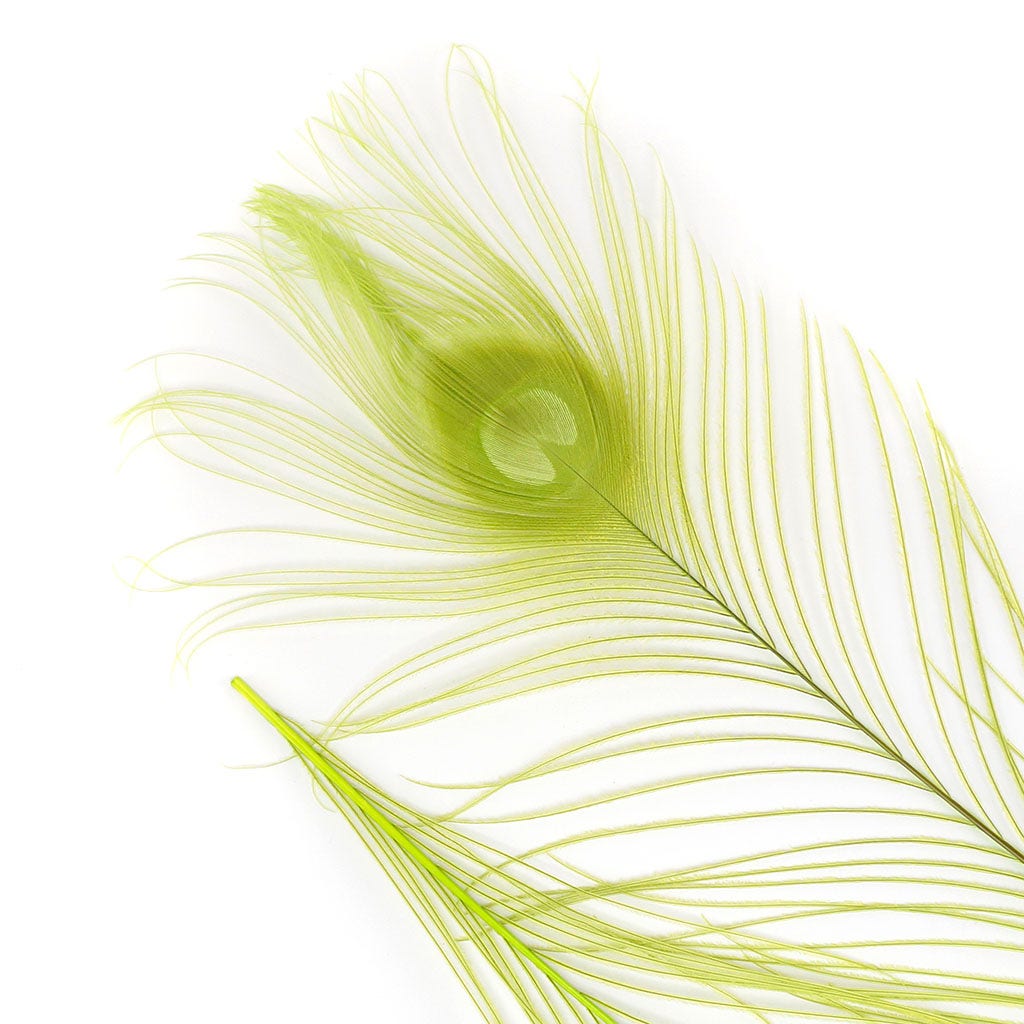 Peacock Feather Eyes Bleached & Dyed Lime