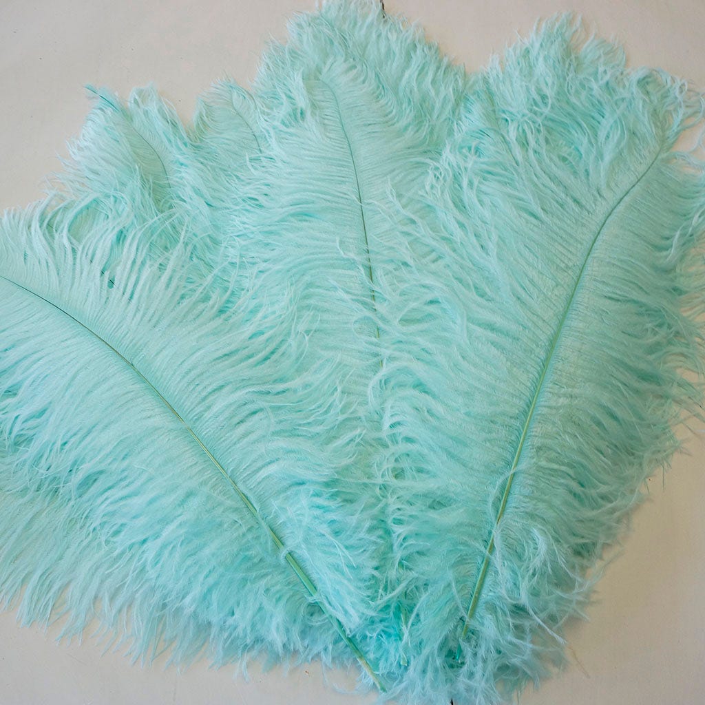 Large Ostrich Feathers - 17"+ Drabs - Mint