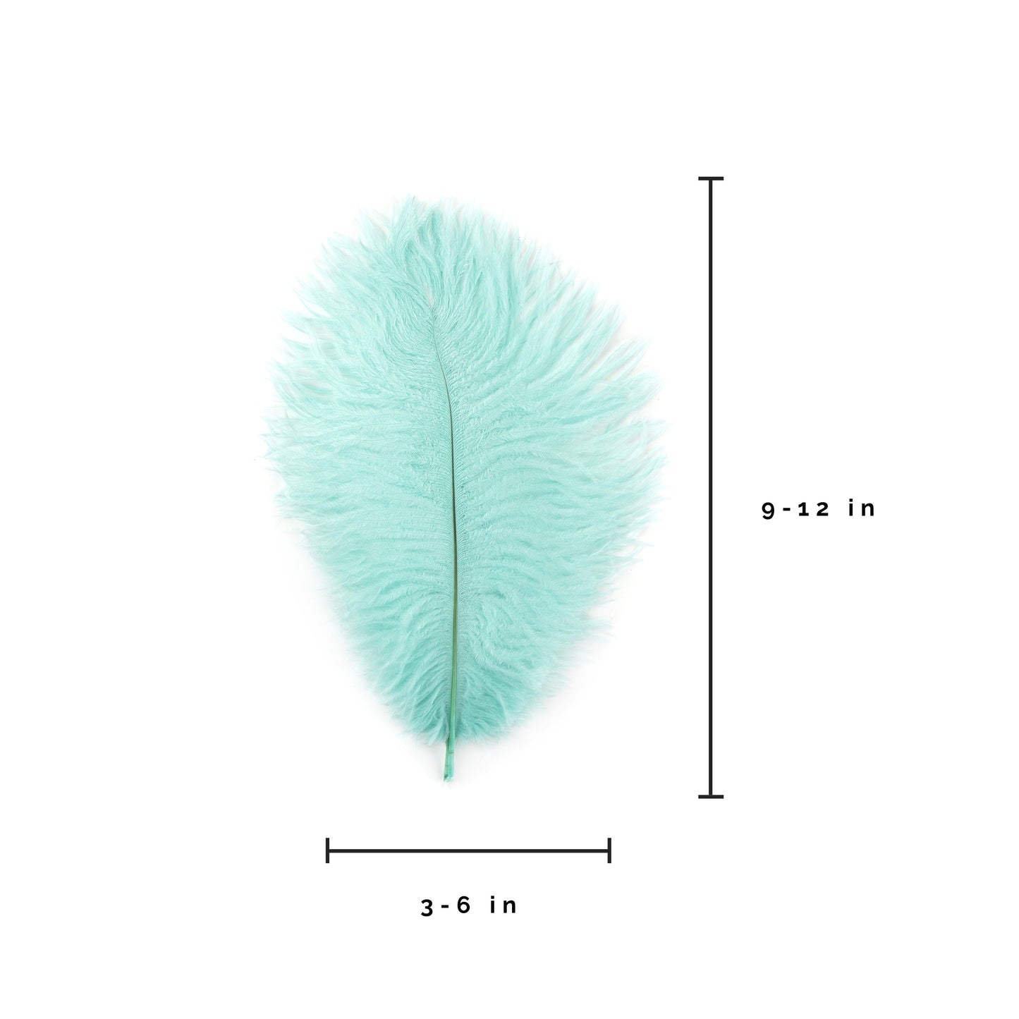 Ostrich Feathers 9-12" Drabs - Mint