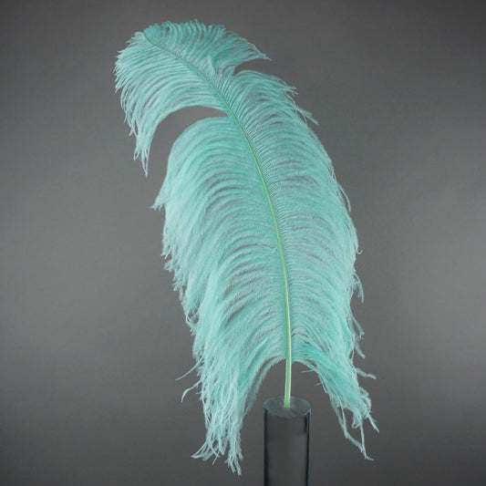 Bulk Ostrich Feathers-Damaged Femina - Mint