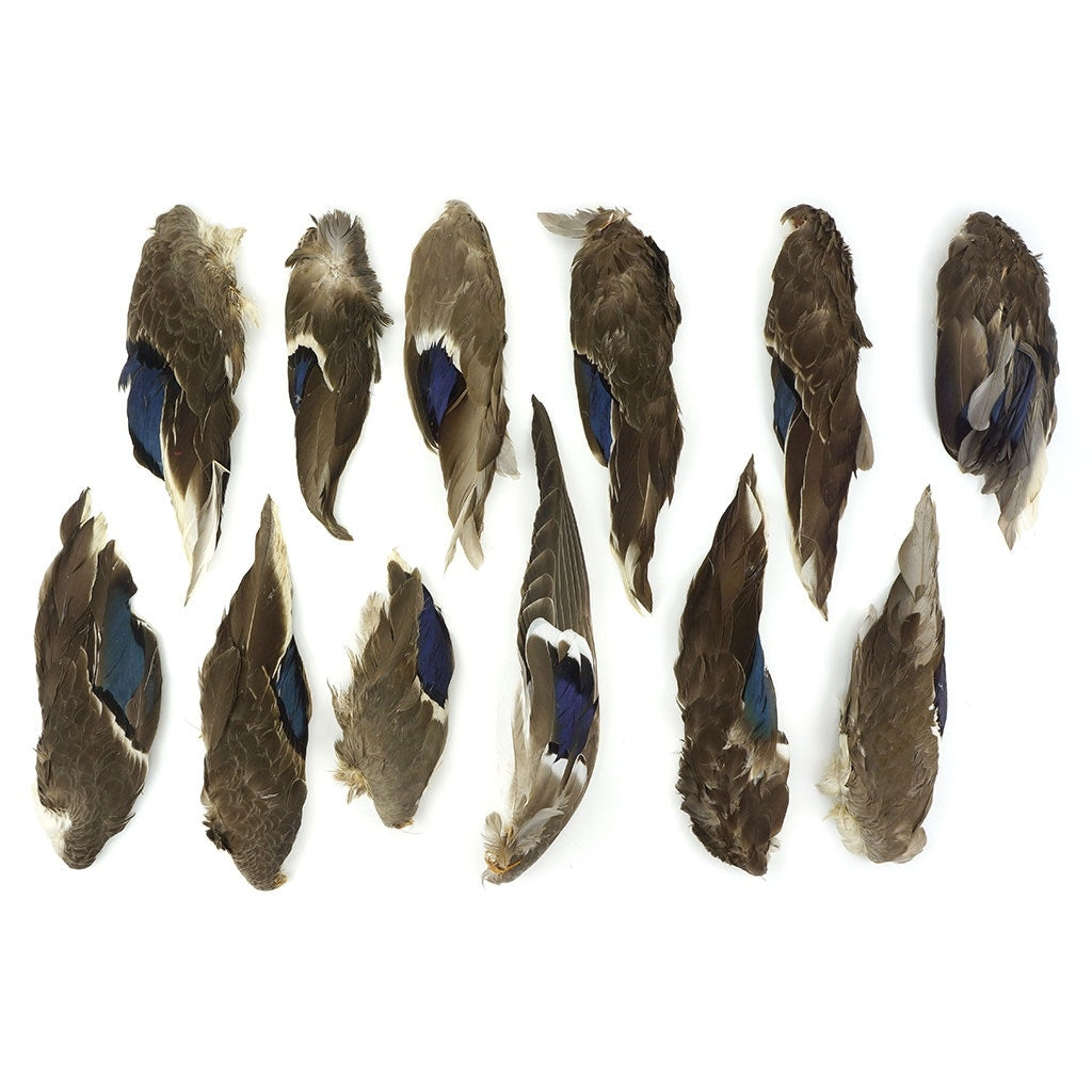 Bulk Duck Wings Natural Mallard-1