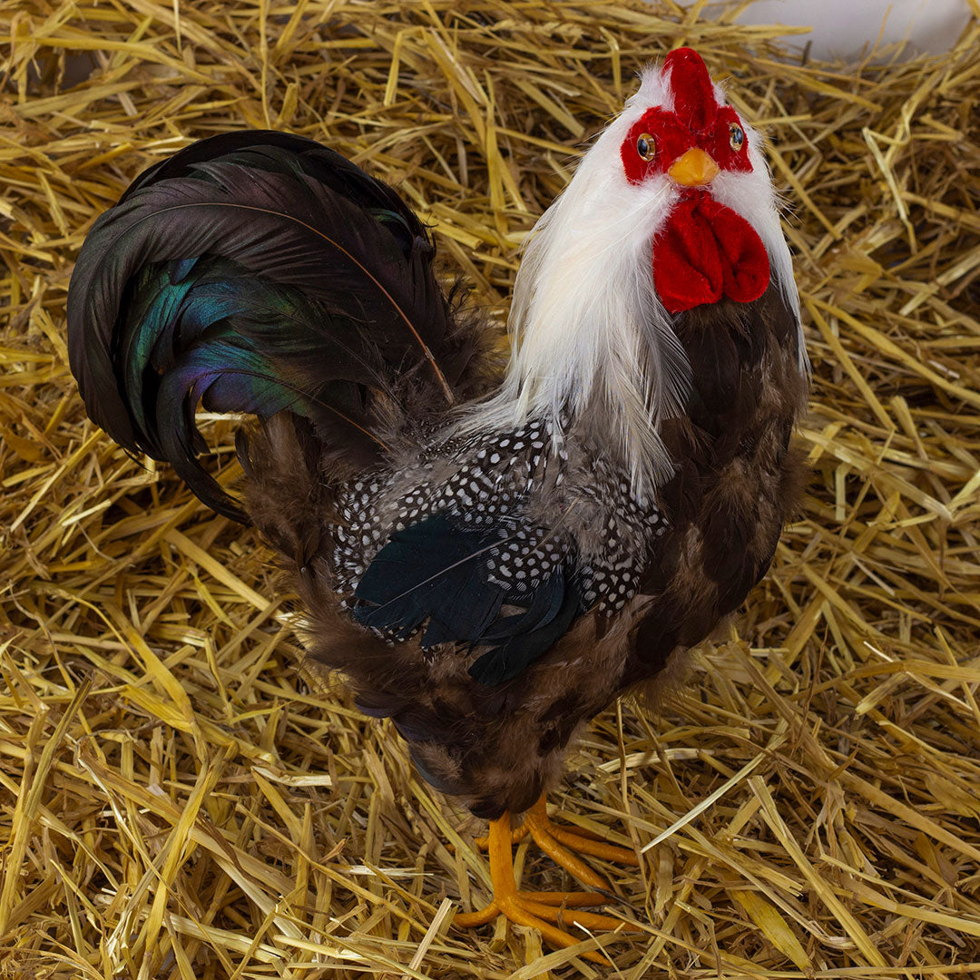 Chicken Themed Kitchen Boa