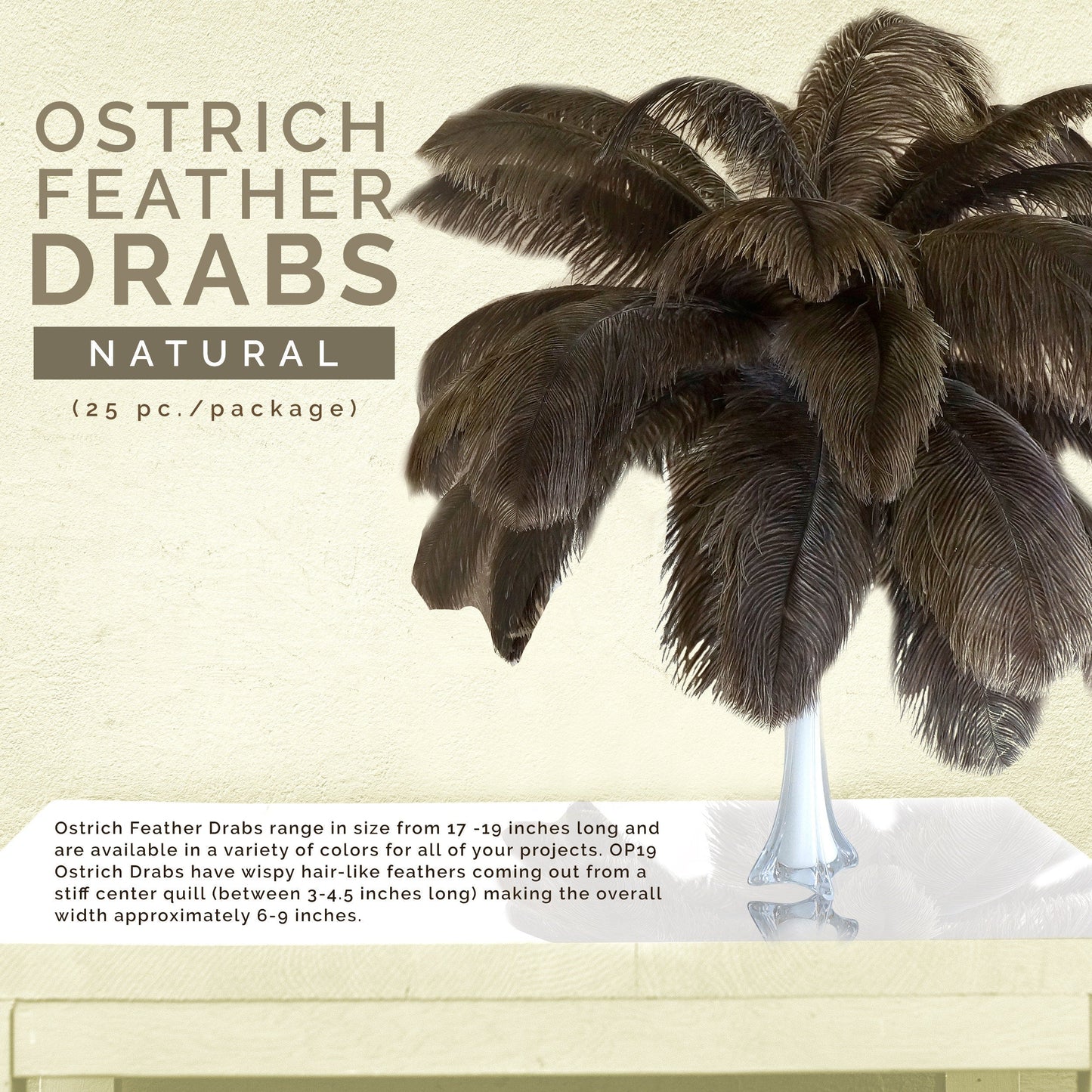 Large Ostrich Feathers - 17"+ Drabs - Natural