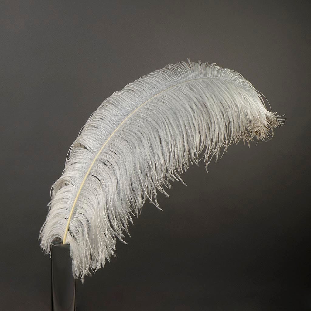 Large Ostrich Feathers - 24-30" Prime Femina Plumes - Natural