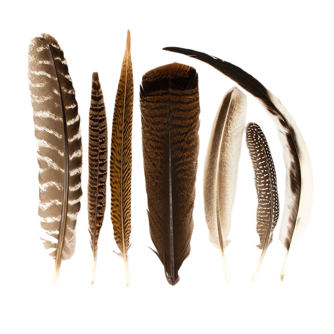 Pheasant Guinea Turkey Rooster Feather Festival Mix 6-16 inch 12pcs