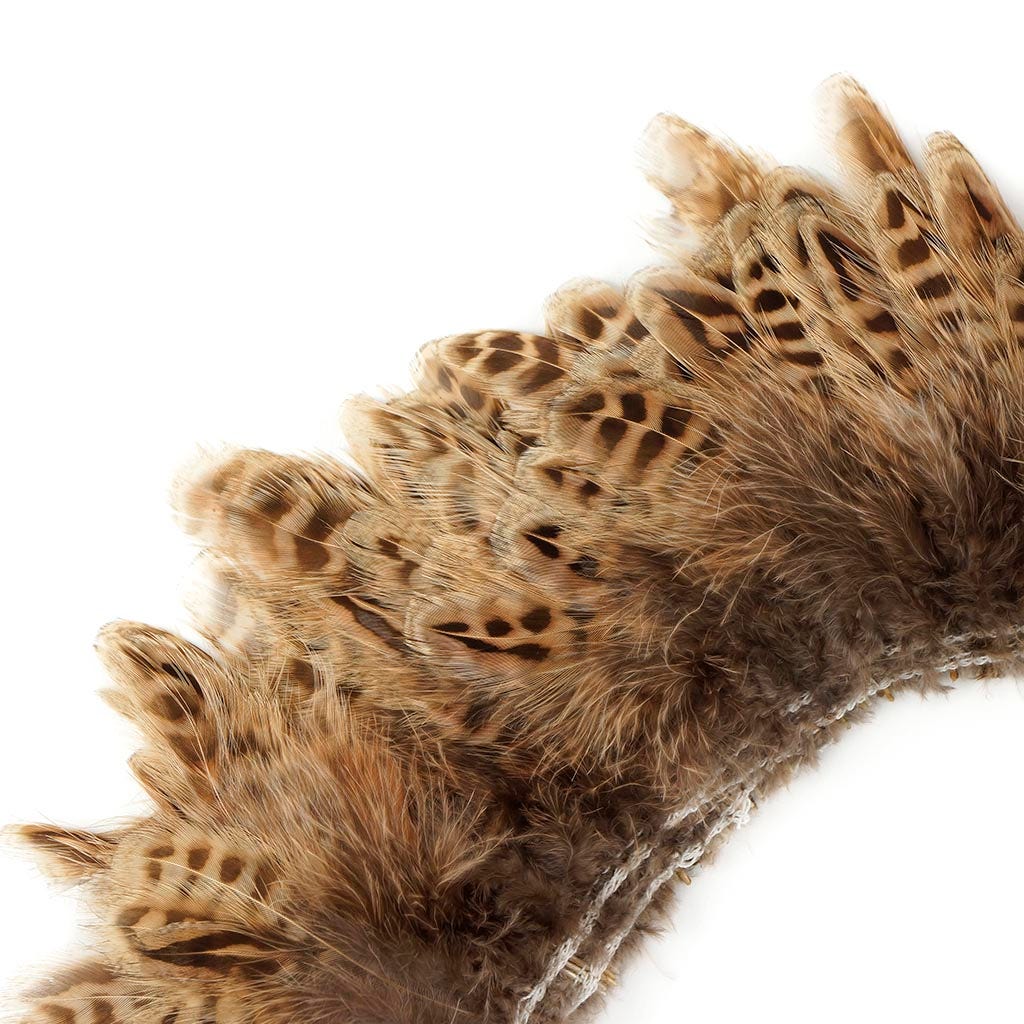 Ringneck Pheasant Plumage 1 YD Natural