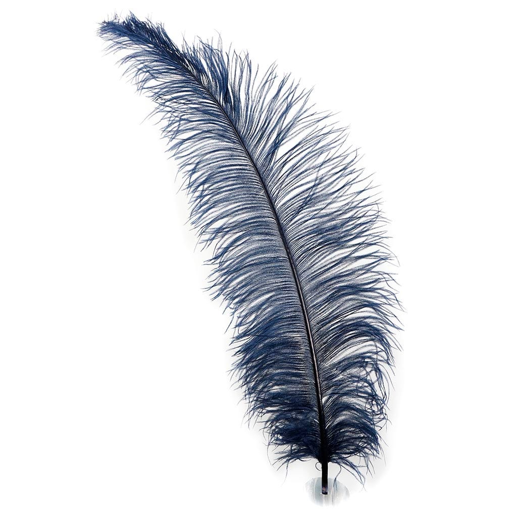 18-24 X-Large Black Ostrich Feathers