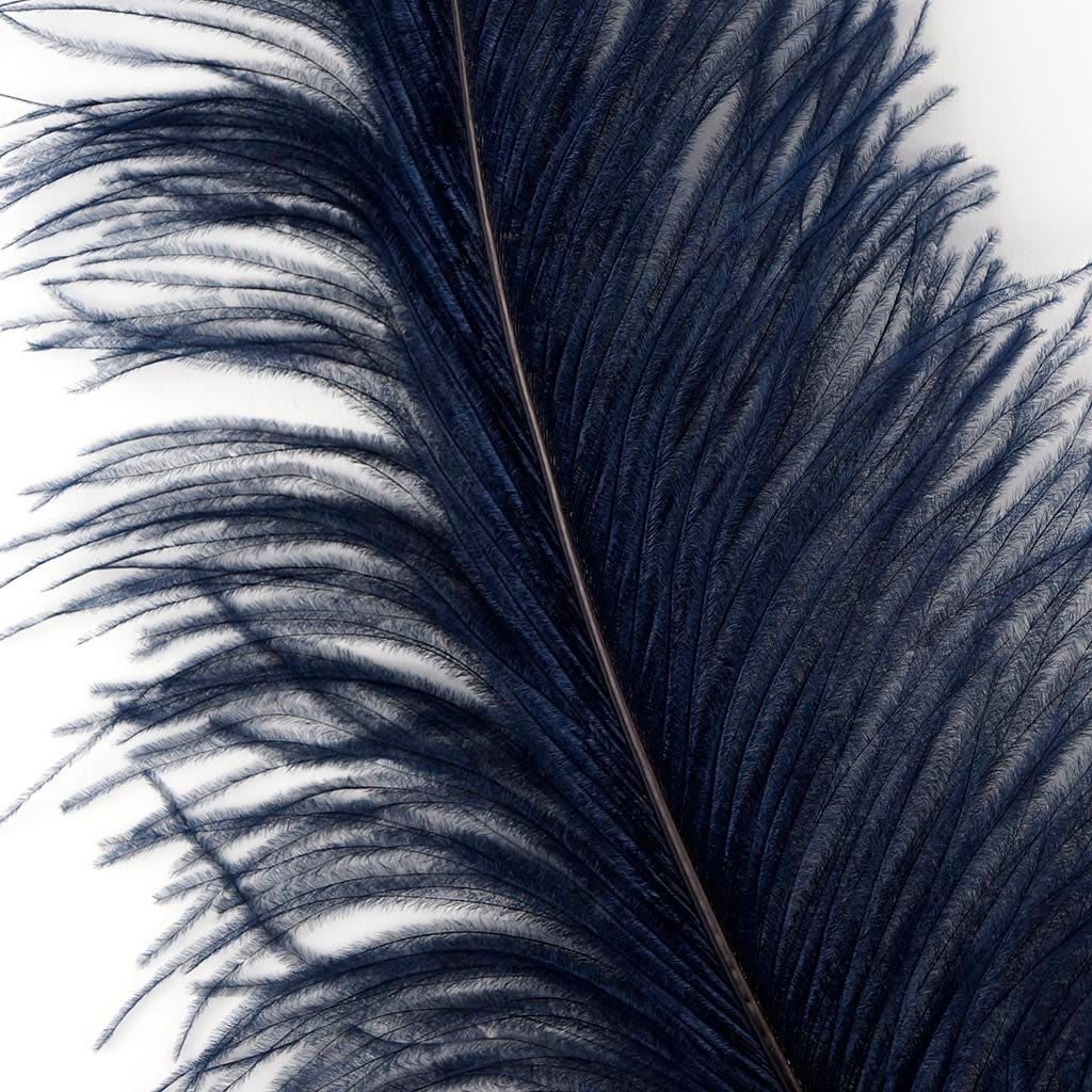 Large Ostrich Feathers - 18-24" Spads - Navy