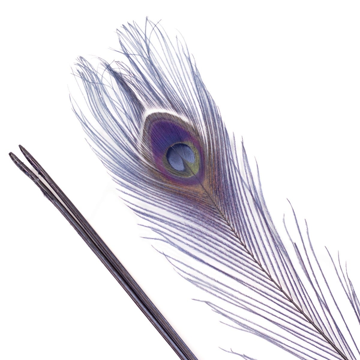 Bleached and Dyed Peacock Eye Feathers 30-40" - 10 pcs - Navy