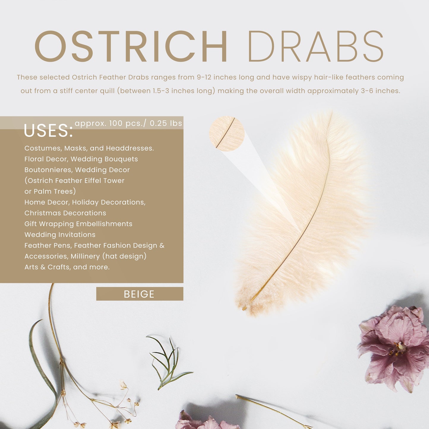 Ostrich Feathers 9-12" Drabs - Beige