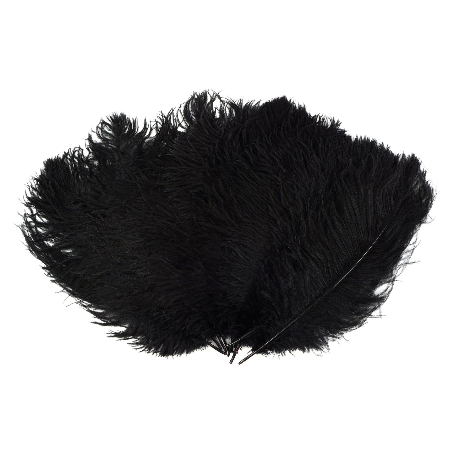 Ostrich Feathers 13-16" Drabs - Black