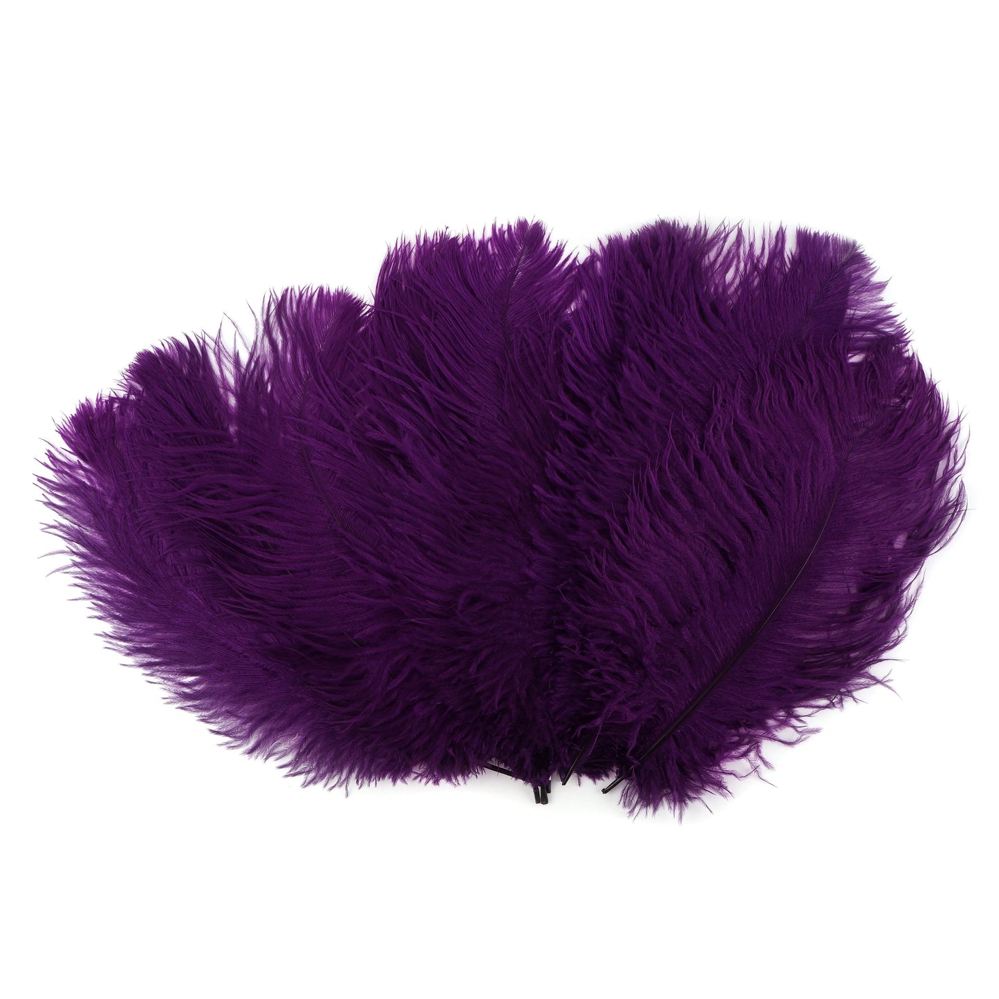 Ostrich Feathers 13-16" Drabs - Purple