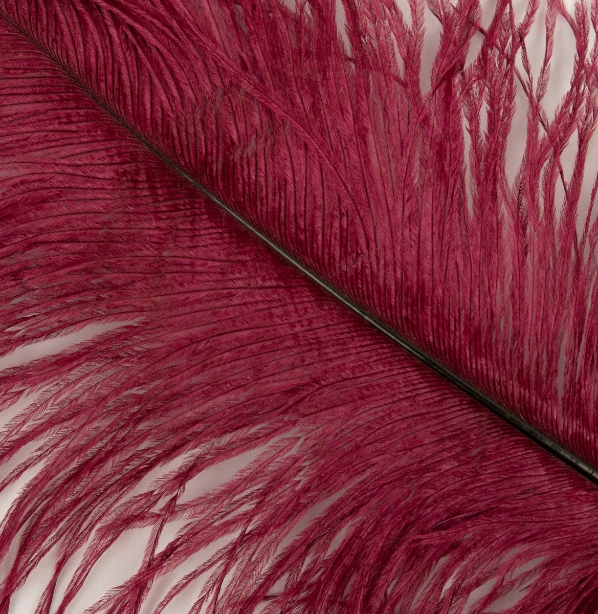 Ostrich Tails 16-18 inch - 30 PC - Burgundy