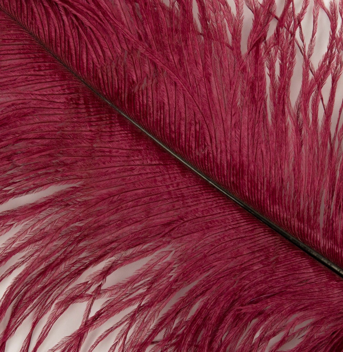 Ostrich Tails 16-18 inch  - 30 PC - Burgundy