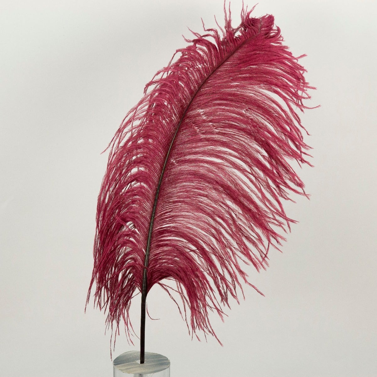 Ostrich Tails 16-18 inch  - 30 PC - Burgundy