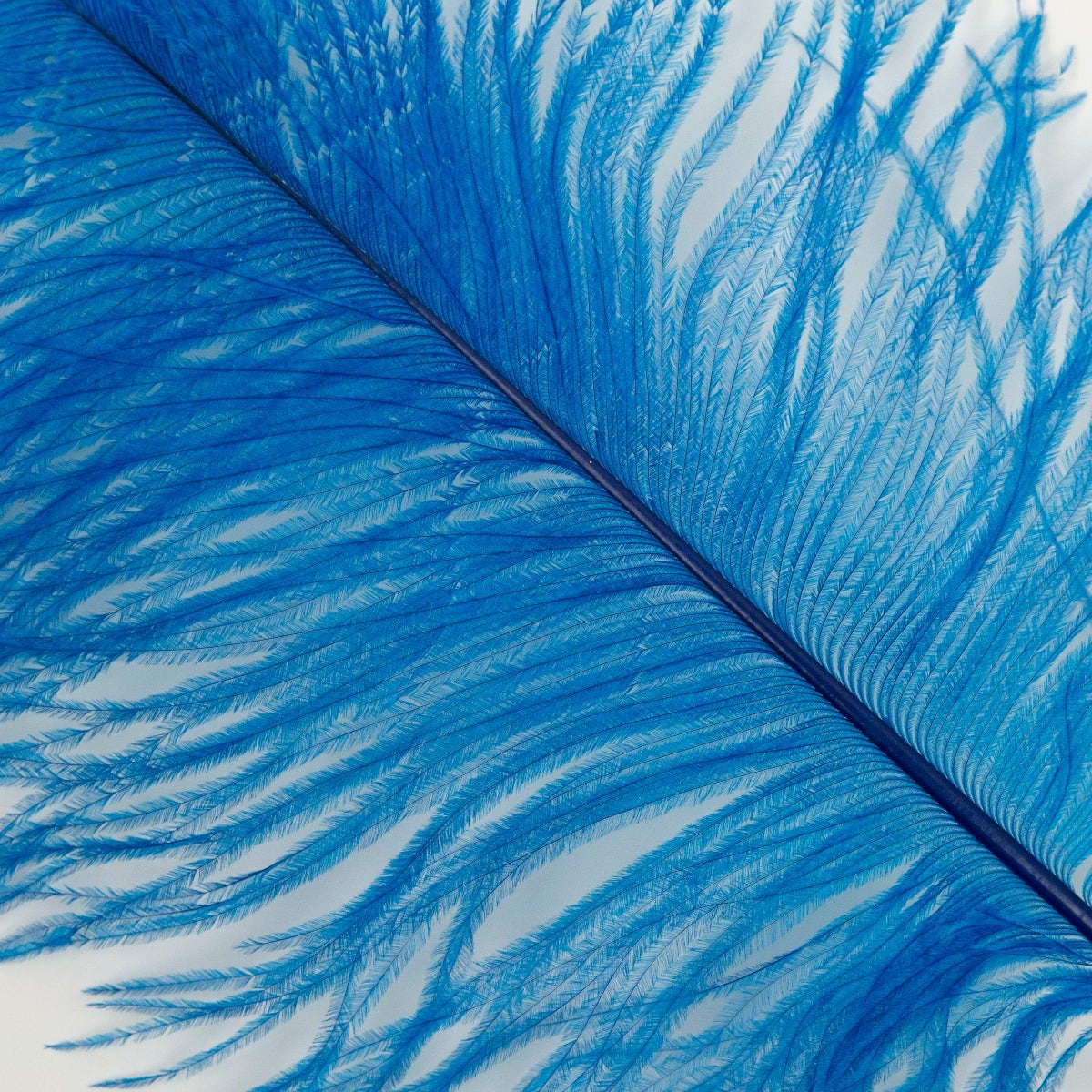 Ostrich Tails 16-18 inch - 30 PC - Dark Turquoise