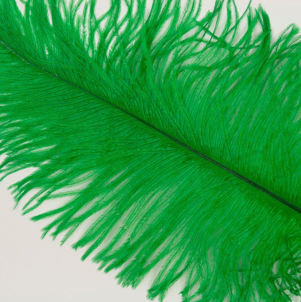 Ostrich Tails 16-18 inch - 30 PC - Kelly