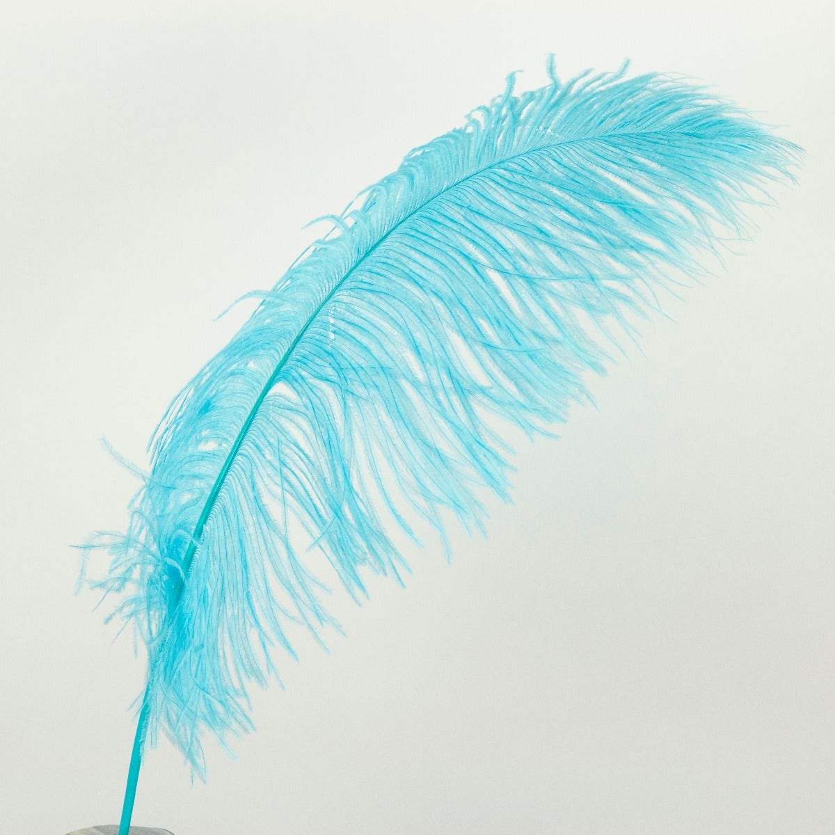 Ostrich Tails 16-18 inch - 30 PC - Light Turquoise