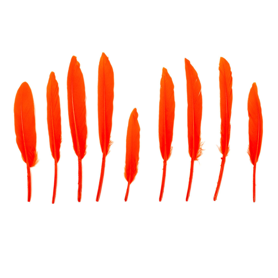 Duck Cosse Feathers - 3 - 6"-Orange