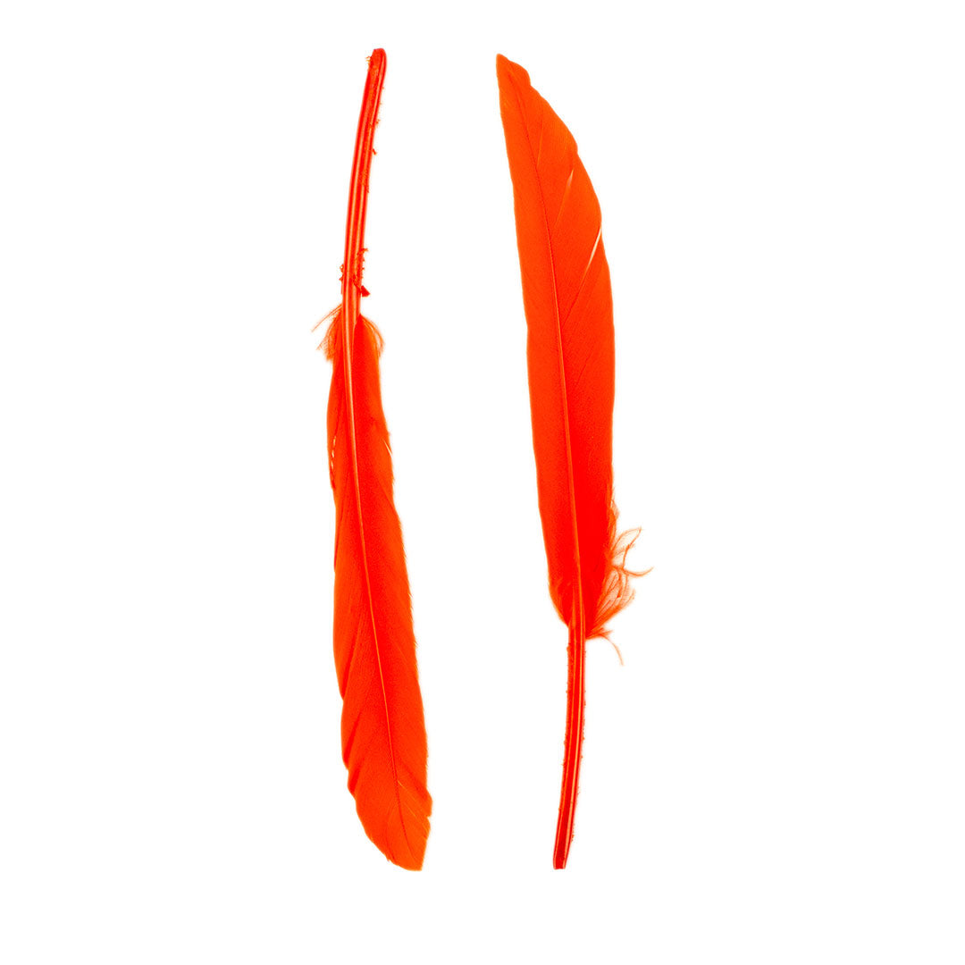 Duck Cosse Feathers - 3 - 6"-Orange