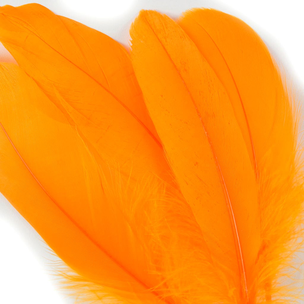 Bulk Bulk Goose Pallet Feathers 6-8 Inch - 1/4 LB - Mango