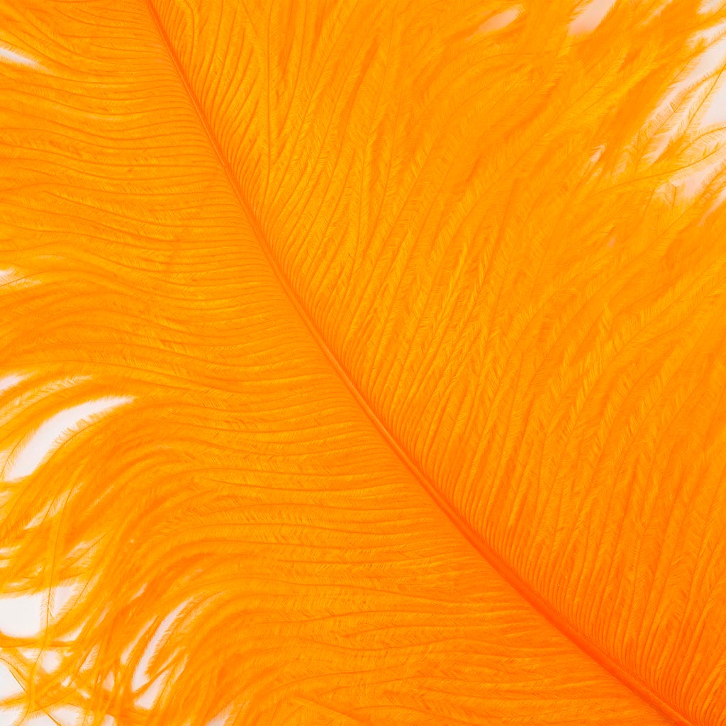 Large Ostrich Feathers - 24-30" Prime Femina Plumes - Orange