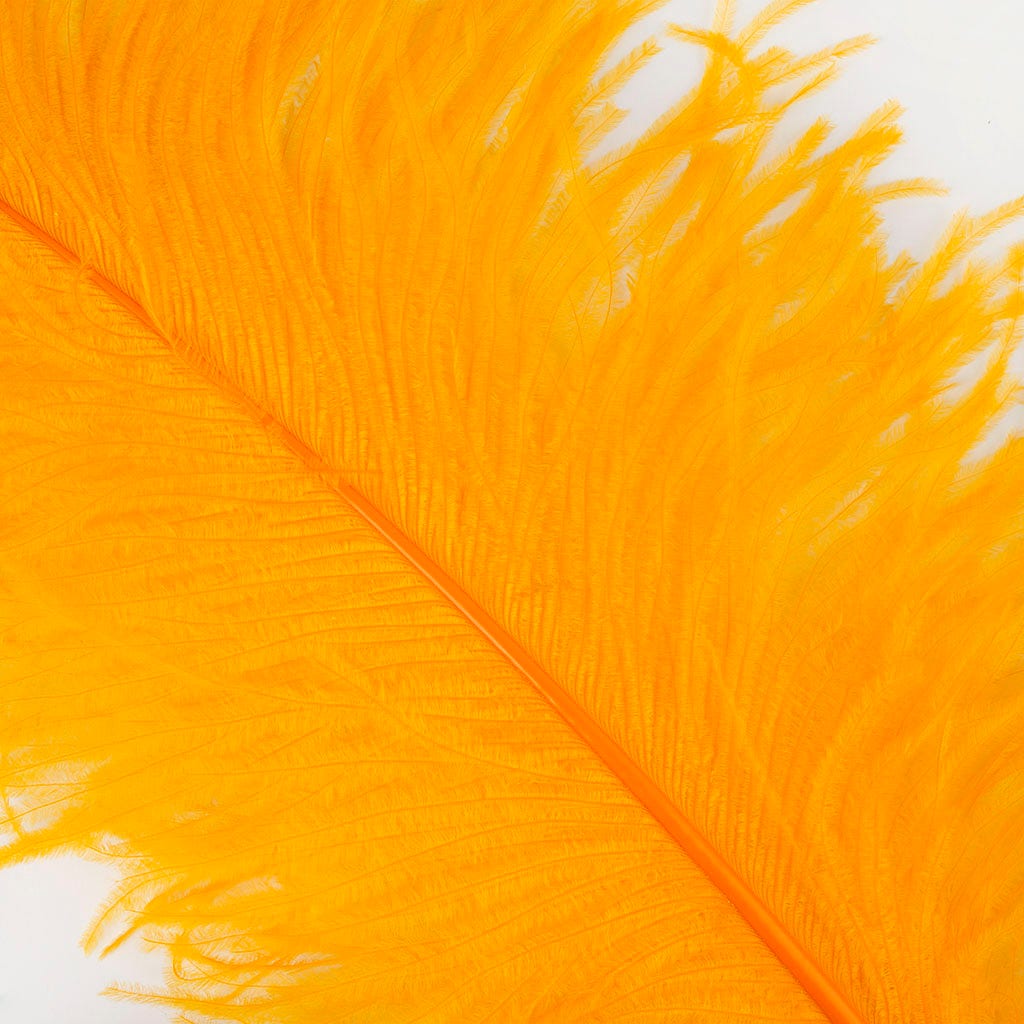 Large Ostrich Feathers - 24-30" Prime Femina Plumes - Mango