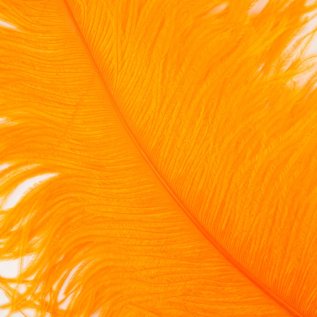 Large Ostrich Feathers - 24-30" Prime Femina Plumes - Orange