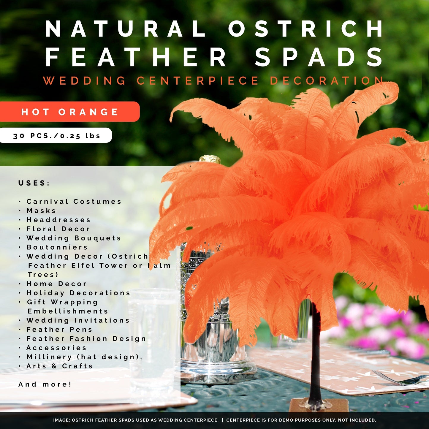 Large Ostrich Feathers - 18-24" Spads - Hot Orange