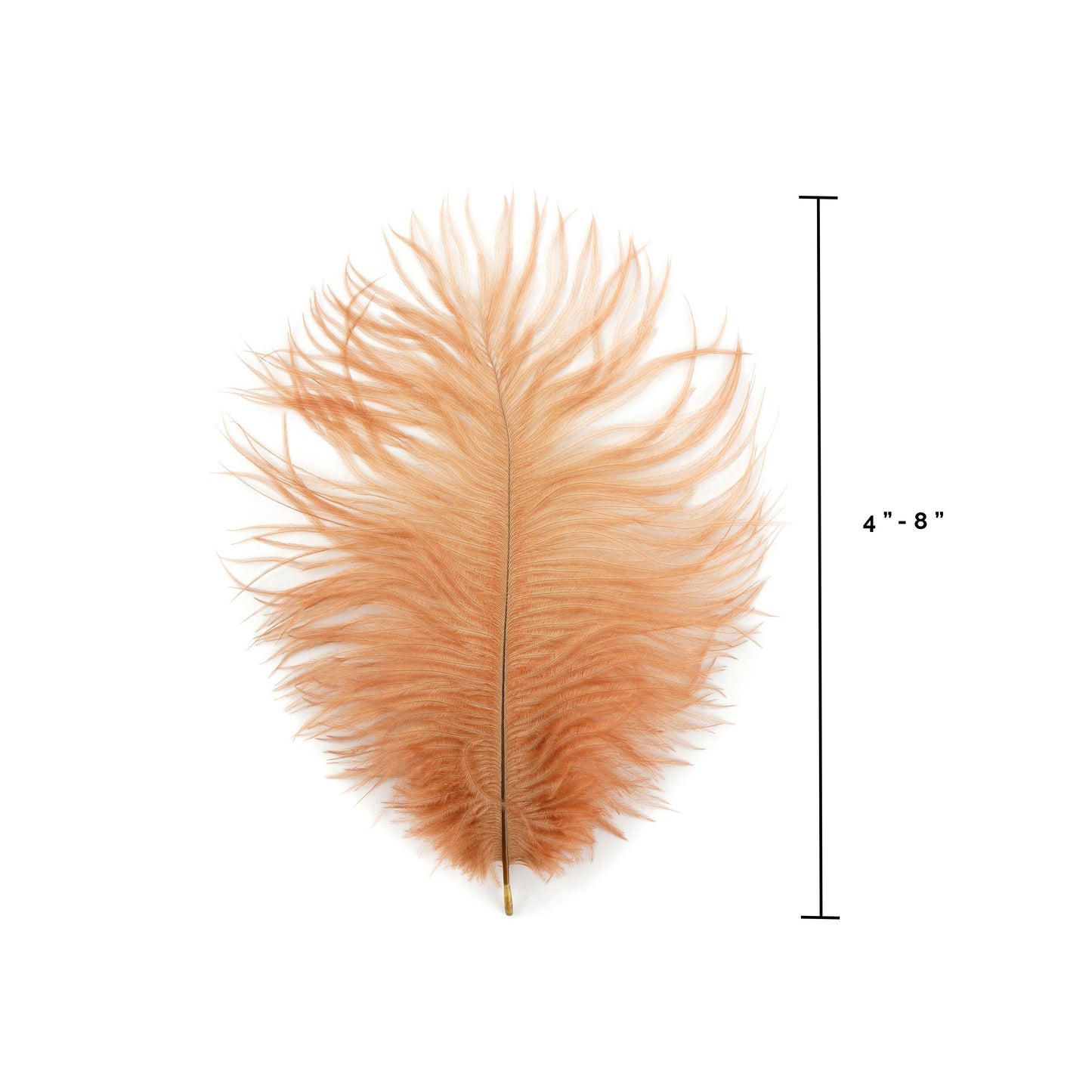 Ostrich Feathers 4-8" Drabs - Cinnamon