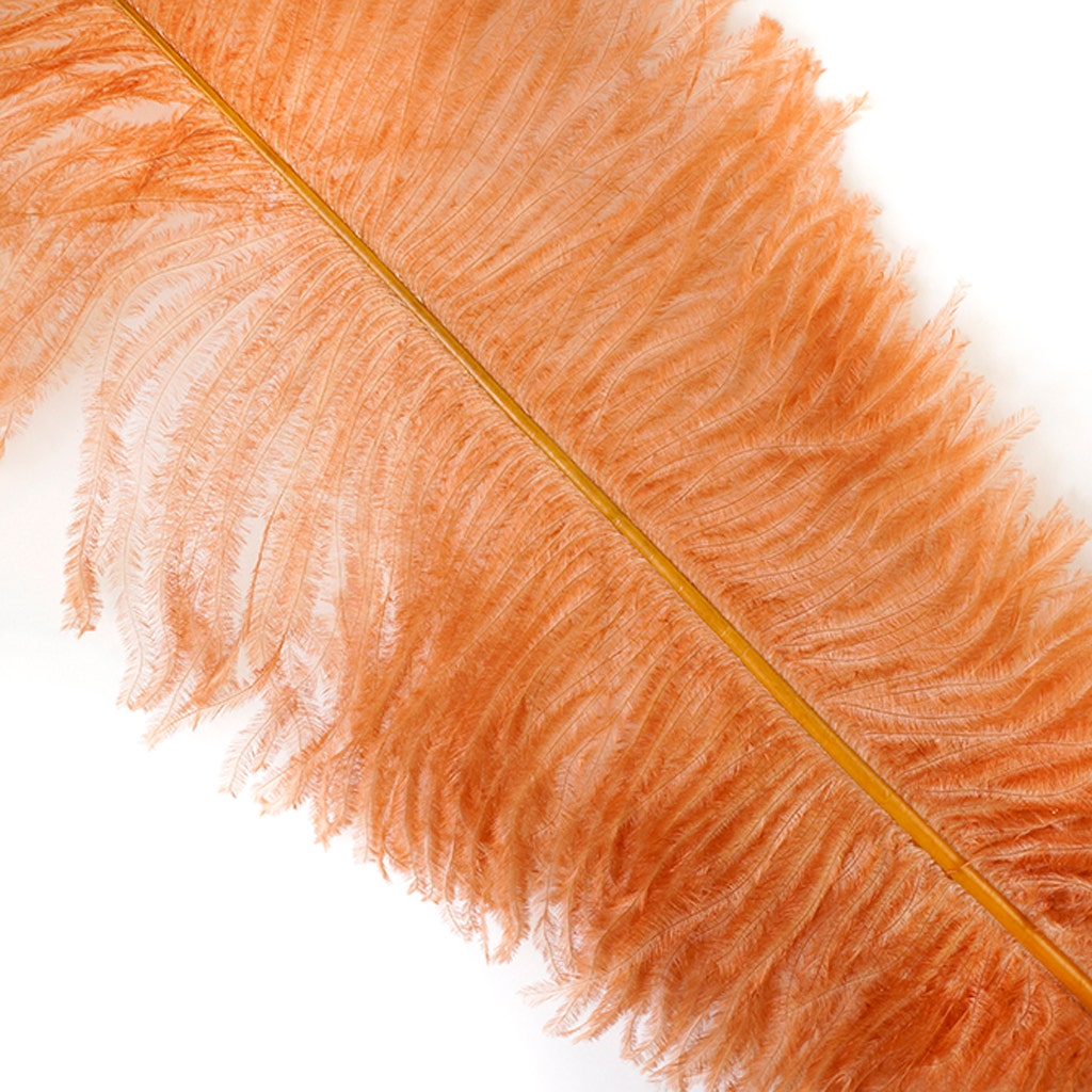 Large Ostrich Feathers - 18-24" Spads - Cinnamon