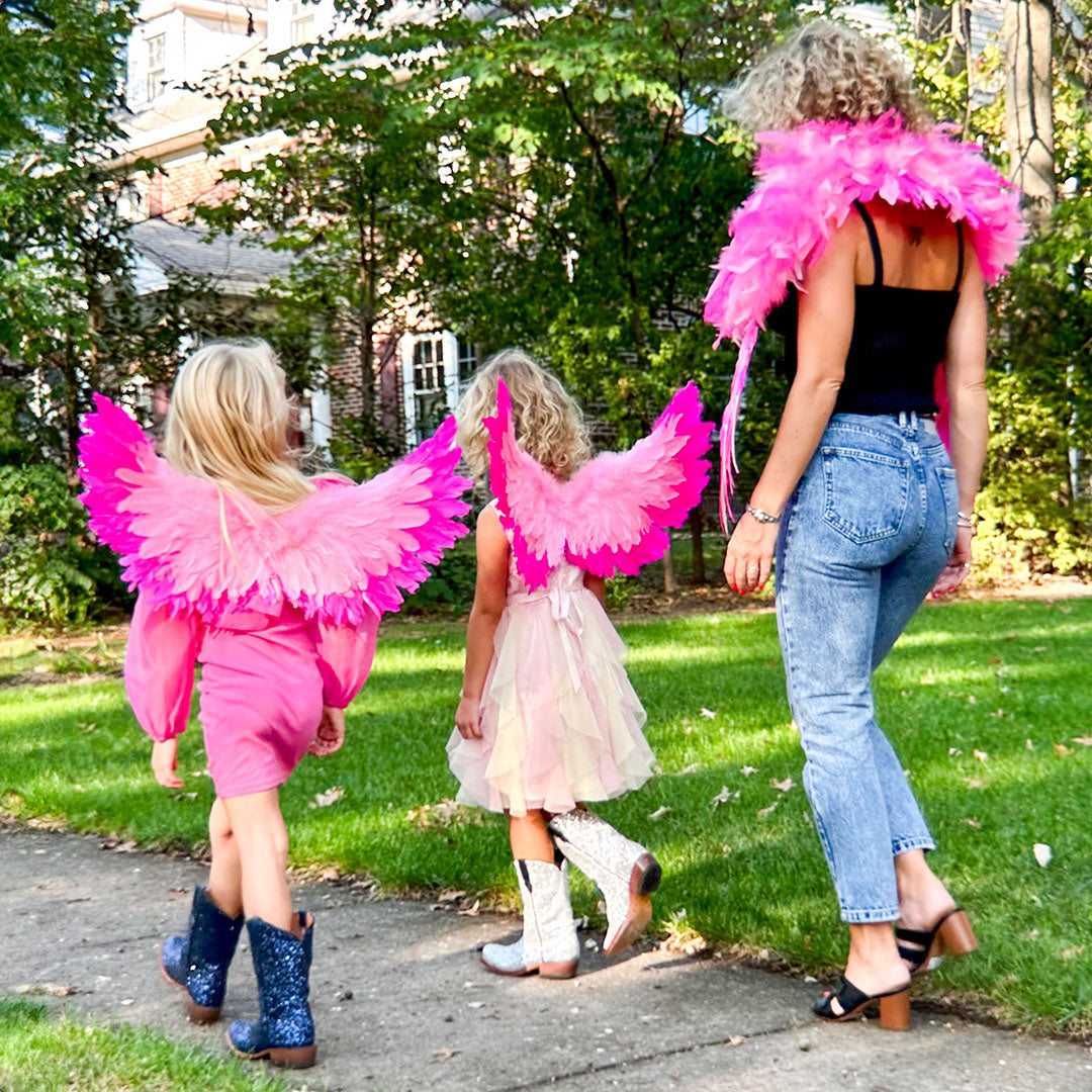 Small Two-tone Pink Wings