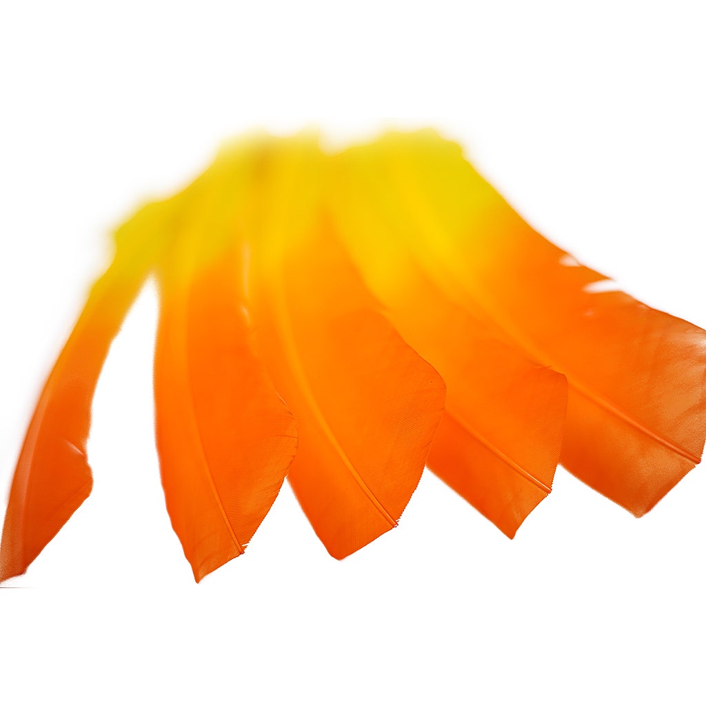 Ombre Turkey Quill 10-12" Left Wing Tip Silver .25 lb - Pink Orient-Orange