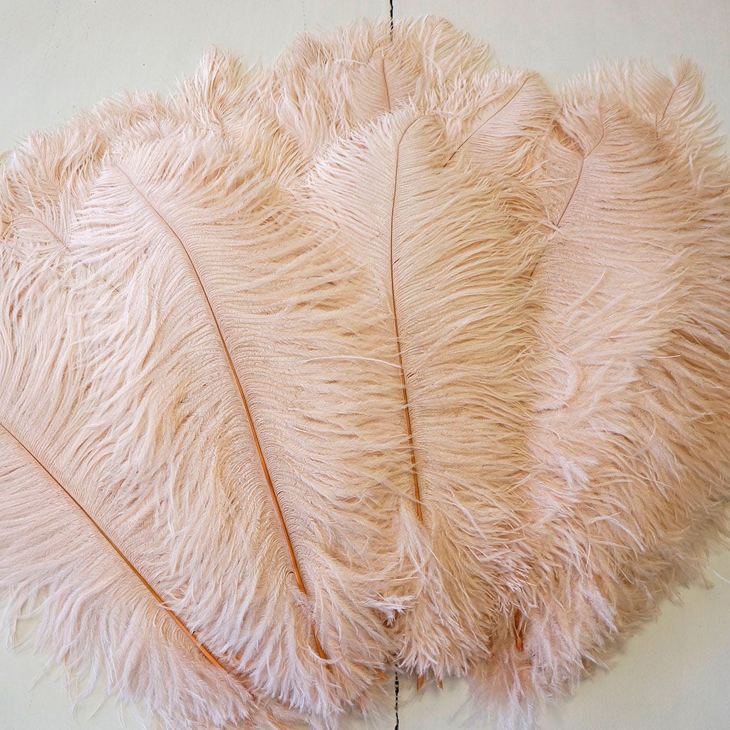 Large Ostrich Feathers - 17"+ Drabs - Champagne