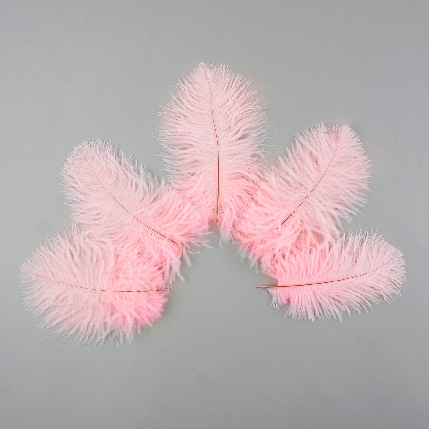 Ostrich Feathers 4-8" Drabs - Candy Pink